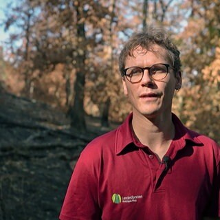 Förster Lorenz Berger in der Kreuznacher Hardt