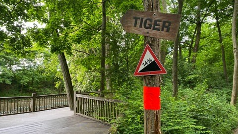 Das Tigergehege im Zoo Landau.