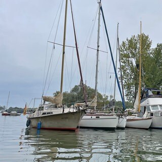 Segelboote am Anleger auf dem Rhein