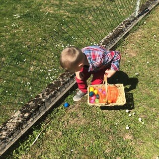 Ein Kind sucht in einem Garten Eier (Symbolbild)