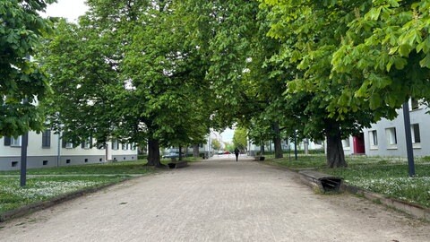 BASF-Wohnungen in den Hohenzollernhöfen in Ludwigshafen Friesenheim