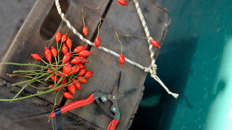 Winterdeko für den Garten basteln: So wird es schön bunt