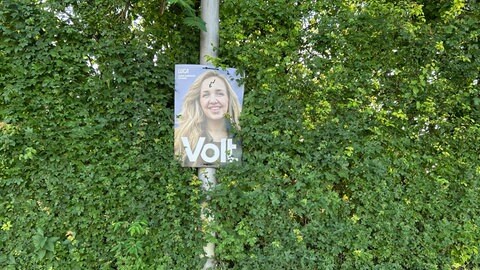 Das Plakat von Volt hängt seit der Bundestagswahl im Februar 2025 immer noch in Mainz.