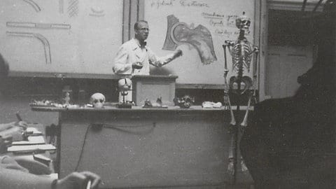 Ein Mann steht vor einer Tafel. Neben dem Mann steht ein Modell eines Skeletts. 