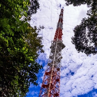 Der Messturm des Amazon Tall Tower Observatory (ATTO) des Max-Planck-Institut steht im Amazonas-Regenwald in Brasilien und ist 325 Meter hoch: Der Amazonas-Regenwald war bisher ein Speicher für Treibhausgase wie CO2. Jetzt stößt er aber selbst immer mehr davon aus. Das kann globale Folgen haben. 