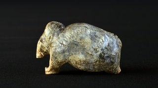 Schon vor rund 40.000 Jahren ritzten Steinzeit-Menschen Linien, Kerben, Punkte oder Kreuze in bestimmten Abfolgen auf Elfenbein-Plättchen, Tierknochen und Werkzeuge