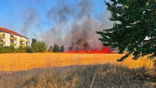 In Stutensee (Kreis Karlsruhe) hat am Samstag ein Feld gebrannt, das an ein Wohngebiet grenzt. 