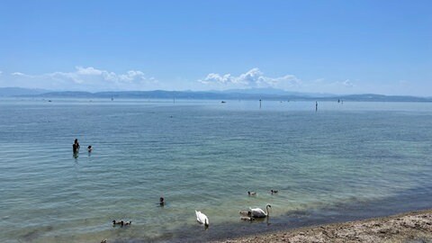 Wasser des Bodensees vor Friedrichshafen.
