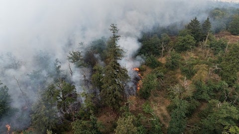 Einsatzkräfte der Feuerwehr aus der Region Trier unterstützen, den Waldbrand am Rotenfels im Kreis Bad Kreuznach zu bekämpfen. 