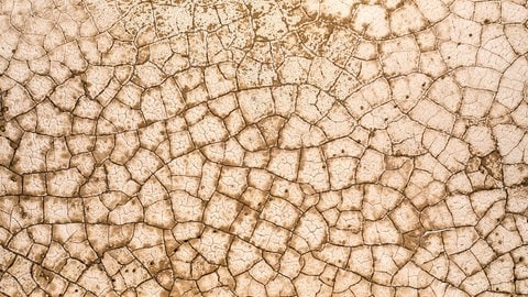 Seit 2019 Realität in der mehrheitlich kurdischen Millionenstadt Hasaka im Nordosten Syriens: Die Türkei hält die wichtigste Pumpstation besetzt und hat begonnen, den Euphrat zu blockieren. Gleichzeitig wird die eigentlich fruchtbare Region von einer Dürre heimgesucht. Die Folge: Ausgetrocknete Felder, ausbleibende Ernten und kein Zugang zu sauberem Trinkwasser (Symboldbild)