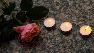 Eine Rose liegt zum stillen Gedenken zwischen Teelichtern. 
