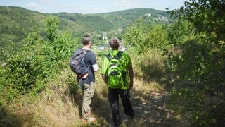 Der Druidensteig: Einzigartig und voller Überraschungen