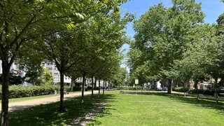 In der Grünanlage der Mainzer Kaiserstraße gibt es seit Jahren eine Drogenszene. 