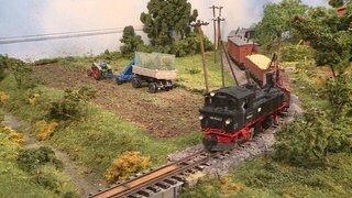 Herbstzeit ist Erntezeit und so fährt im Schmalspur-Güterzug, gezogen von einer IVK, auch ein mit Rüben beladener Güterwagen in Richtung Oschatz.