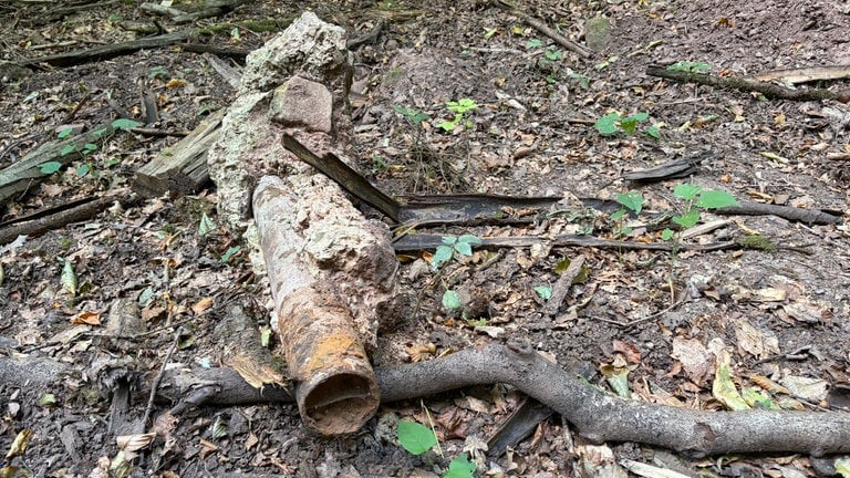 Verschmutzung im Trierer Wald