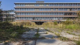 Eiermann-Campus in Stuttgart-Vaihingen. Die Außenanlagen sind komplett überwuchert.