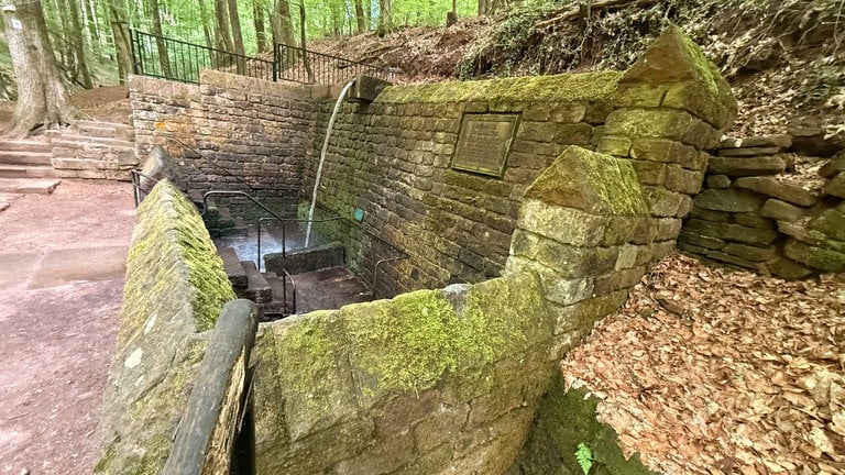 Die historische und deutschlandweit einzigartige, ursprüngliche Walddusche von 1848