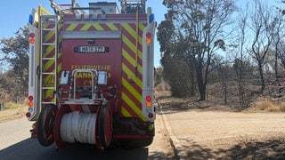 Brand auf Friesenheimer Insel