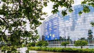 Der Himmel spiegelt sich in der gläsernen Fassade des Europäischen Parlaments in Straßburg. Ein großes Banner wirbt für die Europawahl.