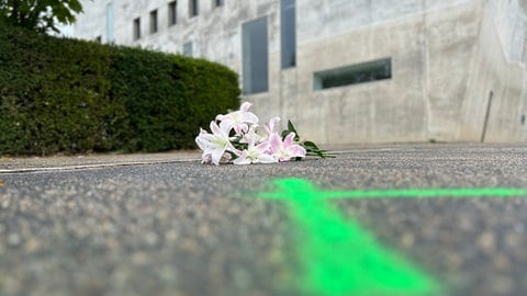 Tötungsdelikt in Freiburger Stadtteil Rieselfeld. Ein 74-Jähriger ist nach Messerangriff gestorben. 