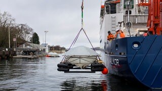 Geoengineering im Meer