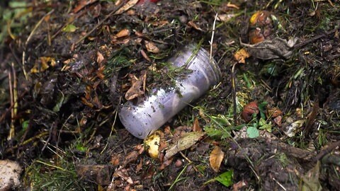 Gegen Plastik im Biomüll