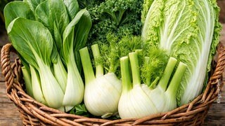 Herbstgemüse: Pak Choi, Grünkohl, Fenchel und Chinakohl liegen in einem Korb.
