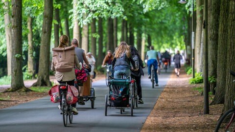 Radweg in Münster mit viel Verkehr unter grünen Bäumen: Effizienz gewinnt der Verkehr vor allem, wenn er abnimmt und möglichst viele das Fahrrad oder den Bus nutzen