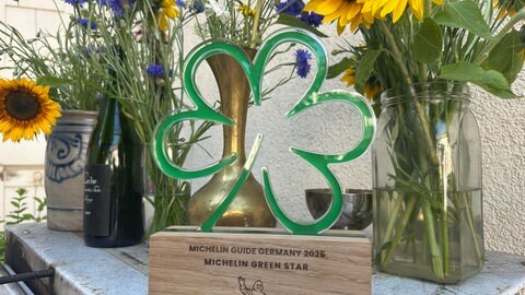 Eine Kochauszeichnung steht neben Blumen. 14 neue Grüne Sterne bereichern Deutschlands Gastro-Szene, einer davon ist nun im Freiburger Stadtteil Wiehre im Restaurant "Hawara" zu finden. 