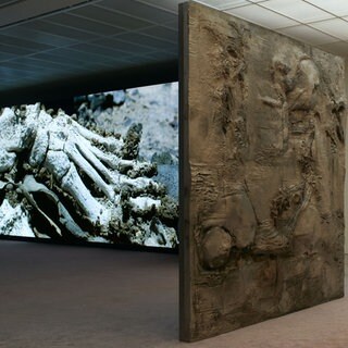 Installationsansicht, Pierre Huyghe