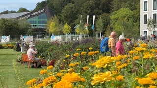 Zu wenige Blumen auf der Landesgartenschau? Einige Besucher kritisieren das in Online-Rezensionen.