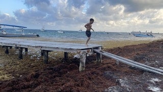 Ein Junge hüpft in Puerto Morelos  Mexiko über einen Steg vom Bootsanleger über den von Algen bedeckten Strand