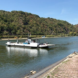 Die Fähre Kaub auf dem Rhein bei Niedrigwasser.