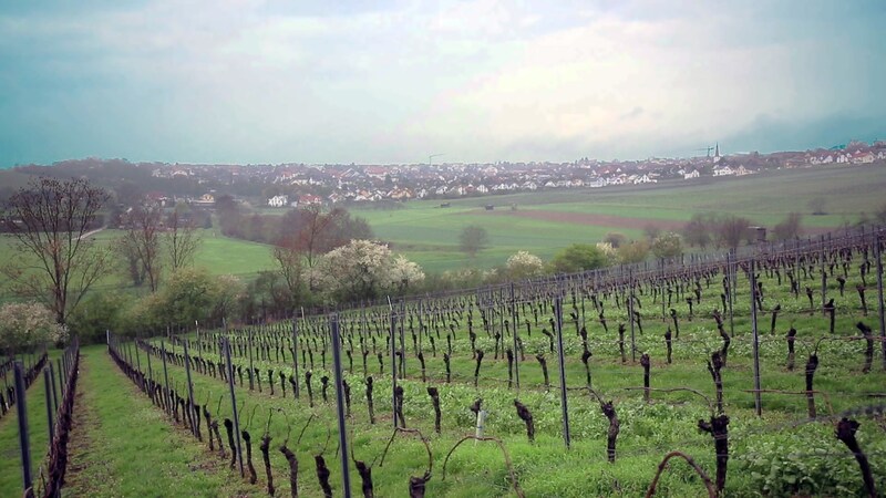 Essenheim - Ortsansicht