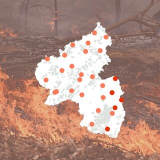 Eine Karte von Rheinland-Pfalz zeigt, wie hoch die Waldbrandgefahr aktuell an den Messstationen des Deutschen Wetterdienstes ist.