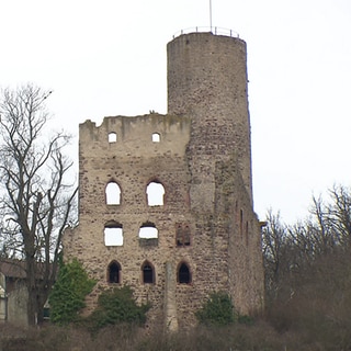 Bürger-Burg in Schreisheim.