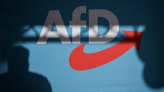 AfD-Parteilogo