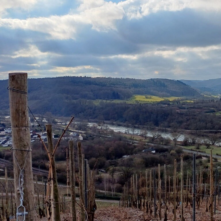 Diesen schönen Blick in die Weinberge lösst sich auch die Sonne nicht entgehen, die zwischen den Wolken auf die Region Trier herunterscheint.