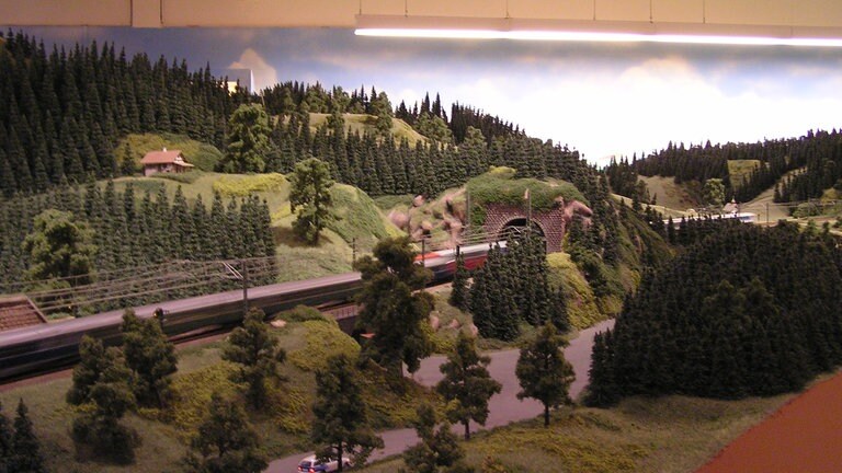 Impressionen der Schwalzwaldbhan-Modellbahn