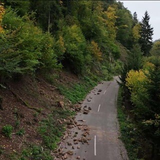 Felsen im Albbtal