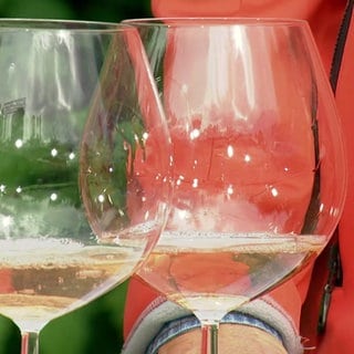 Weinreste verwerten: Eiswürfel mit Früchten, Kräutern und Essig ansetzen