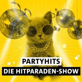 Kätzchen mit Disco-Kugeln, Halskette und Ring im Ohr mit dem Text "Partyhits Die Hitparaden-Show"