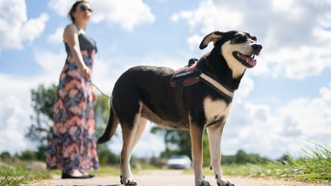 Frau mit Hund an der Leine