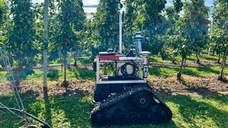 Ein Roboter fährt durch die Apfelplantagen in Kressbronn am Bodensee. Er ist mit Sensoren, Lasern und GPS ausgestattet und soll lernen Äpfel zu ernten.