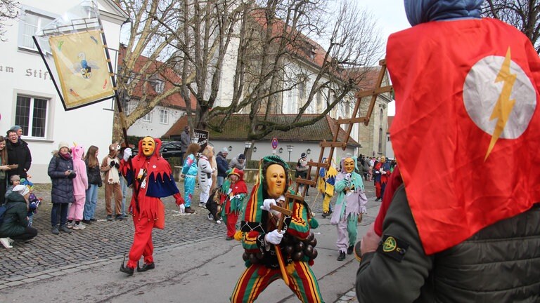 Impressionen vom Landschaftstreffen der Vereinigung Schwäbisch-alemannischer Narrenzünfte in Lindau.