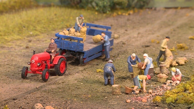 Die Kartoffelernte ist in vollem Gange. Jede und jeder wird gebraucht.