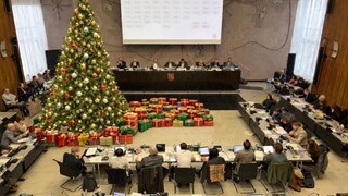 Collage aus Gemeinderat Karlsruhe und Weihnachtsbaum mit Geschenken