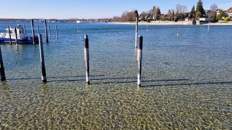 Wenig Wasser Anfang April 2025 im Bodensee, hier im Hafen von Nonnenhorn (Kreis Lindau).