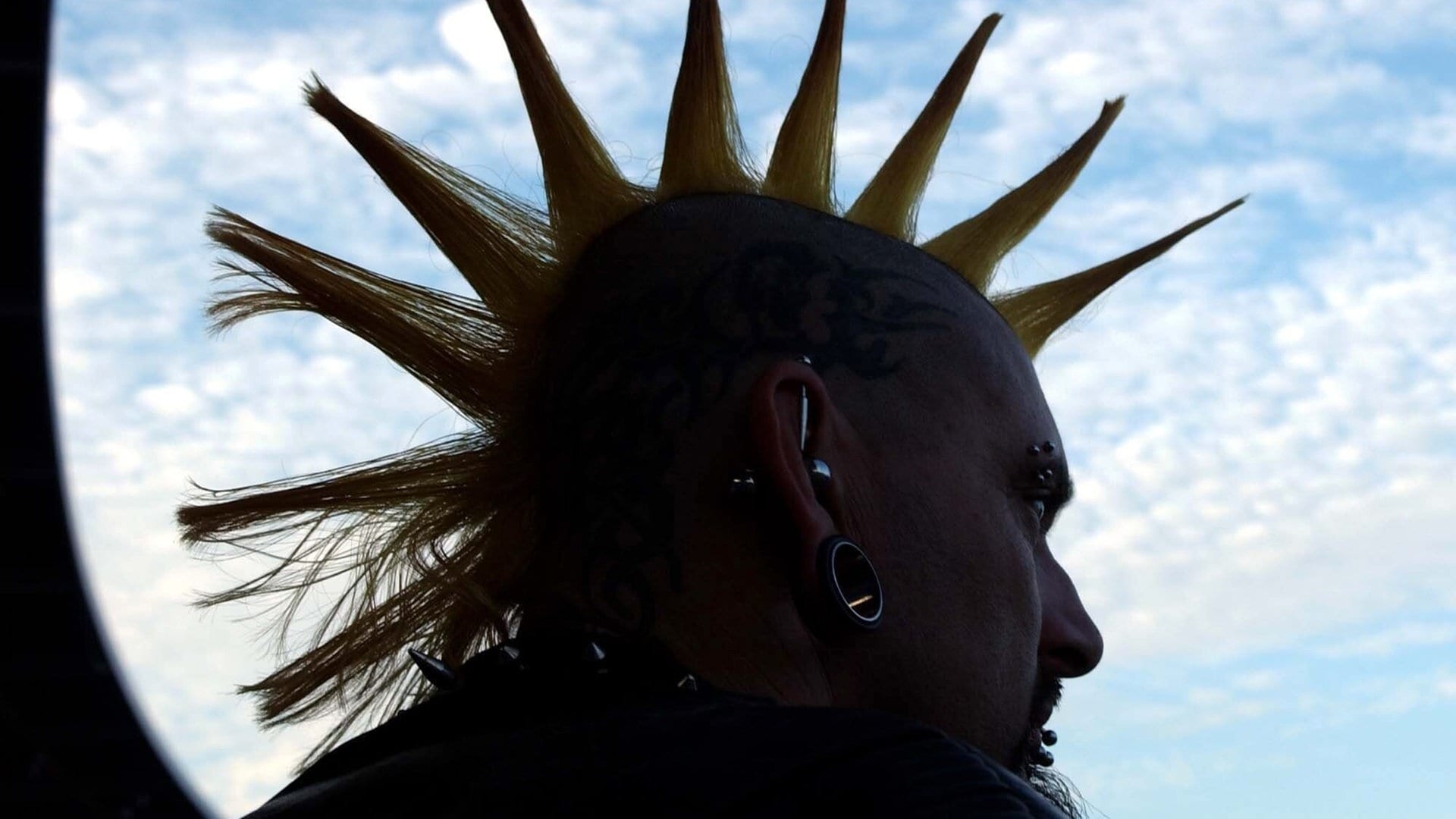 Mehr als laute Musik: 50 Jahre Punk in Deutschland