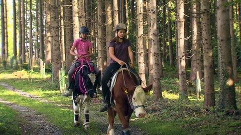 Zwei Mädchen reiten auf Kühen durch einen Nadelwald.